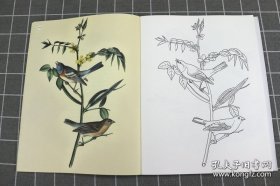 正版现货 飞鸟物语 鸟类绘画涂色书中国历代江寒汀花鸟画谱美术技法工笔花鸟初学者线描画册简笔画水墨自学画谱 9787548423058