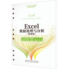 Excel数据处理与分析