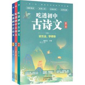 吃透初中古诗文（共3册）