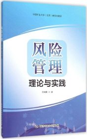 正版现货 风险管理理论与实践