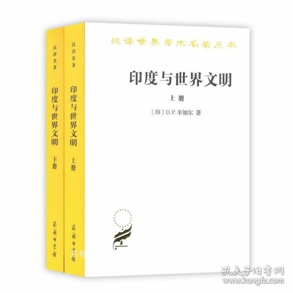 汉译名著本17：印度与世界文明（套装共2册）