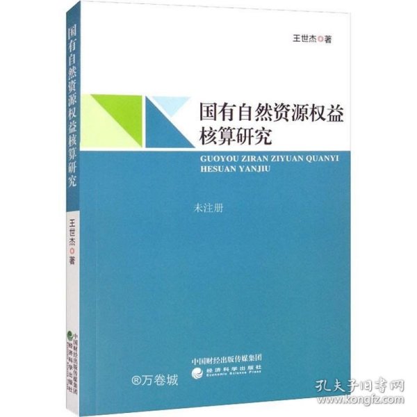 国有自然资源权益核算研究