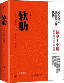 软肋（“短篇小说圣手”王手作品集）