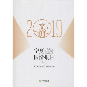 正版现货 2019宁夏区情报告（上）