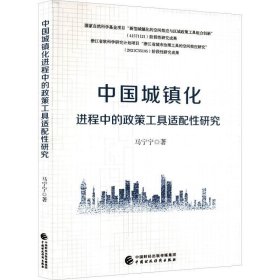 正版现货 中国城镇化进程中的政策工具适配性研究