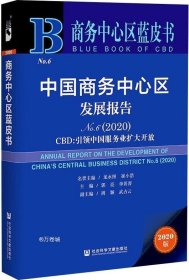 商务中心区蓝皮书：中国商务中心区发展报告No.6（2020）