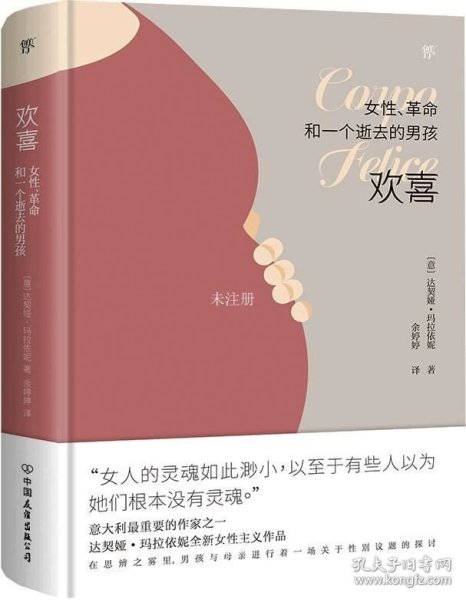 欢喜：女性、革命和一个逝去的男孩（诺贝尔文学奖热门提名作家女性主义作品）