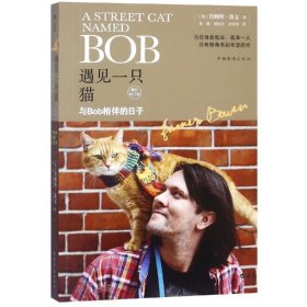 遇见一只猫:与Bob相伴的日子