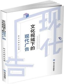 正版现货 文化视域下的现代广告