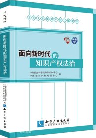 面向新时代的知识产权法治