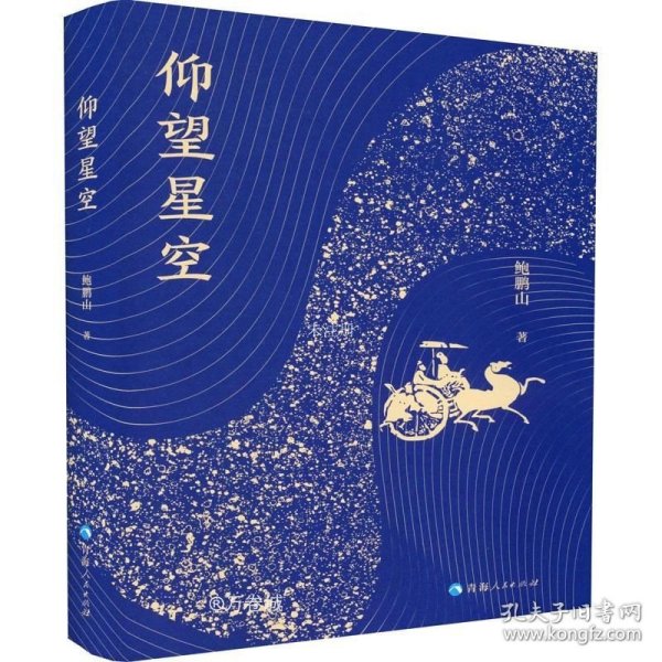 正版现货 仰望星空