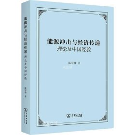 正版现货 能源冲击与经济传递：理论及中国经验