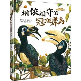 我的飞鸟朋友:相依相守的冠斑犀鸟