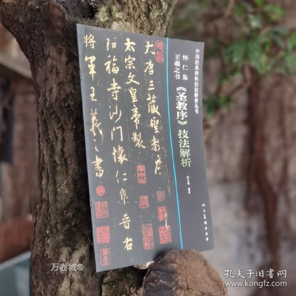 怀仁集王羲之书《圣教序》技法解析