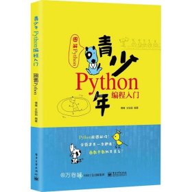 正版现货 青少年Python编程入门——图解Python