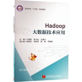 正版现货 Hadoop大数据技术应用