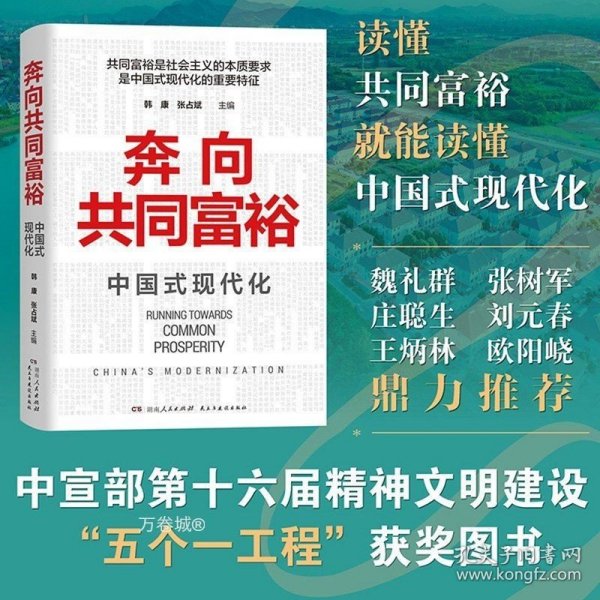 奔向共同富裕（读懂共同富裕，看清未来中国！深入浅出，雅俗共赏，两大TOP级智库联袂巨献，通俗理论重磅大作！）