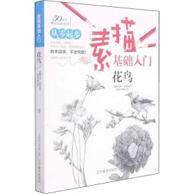 正版现货 素描基础入门 花鸟 七彩绘工作室 著 网络书店 图书