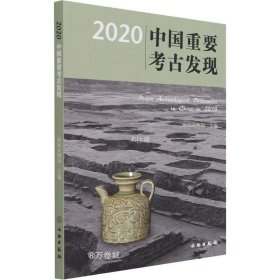 正版现货 2020中国重要考古发现