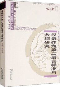 汉语作为第二语言标准与大纲研究/对外汉语教学研究专题书系