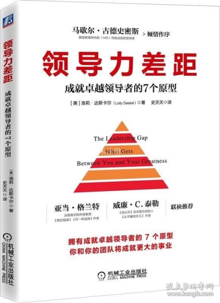 领导力差距：成就卓越领导者的7个原型