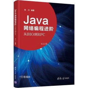 正版现货 Java网络编程进阶——从BIO到RPC