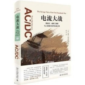 电流大战：爱迪生、威斯汀豪斯与人类首次技术标准之争