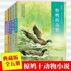 正版现货 椋鸠十动物小说全集彩色升级版全套5册爱藏本7-10-11-14岁小学生三四五六年级课外书籍一只耳朵的大鹿生野鸭的友情儿童读物故事书