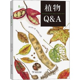 正版现货 植物Q&A 郑元春 著 林丽琪 绘 网络书店 图书