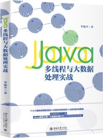 Java多线程与大数据处理实战