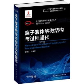 化工过程强化关键技术丛书离子液体纳微结构与过程强化