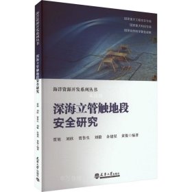 正版现货 深海立管触地段安全研究