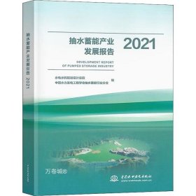 抽水蓄能产业发展报告2021