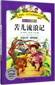 正版现货 语文新课标小学生必读丛书无障碍阅读彩绘注音版：苦儿流浪记