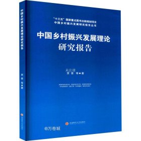 正版现货 中国乡村振兴发展理论研究报告