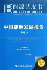 正版现货 中国能源发展报告