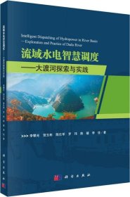 正版现货 流域水电智慧调度：大渡河探索与实践