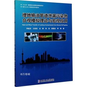 埋地输油管道泄漏污染物介观模拟理论与宏观应用