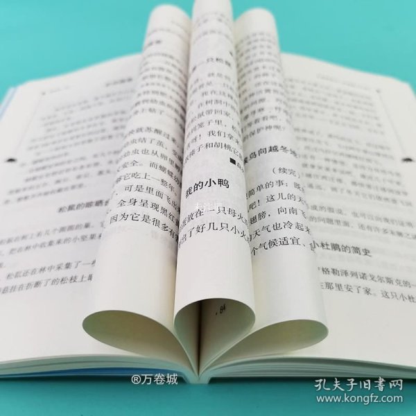 森林报·秋中小学课外阅读无障碍阅读智慧熊图书