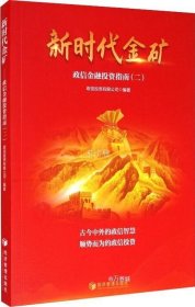 正版现货 新时代金矿：政信金融投资指南（二）