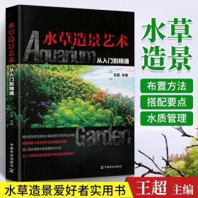 水草造景艺术：从入门到精通