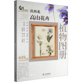 滇西北高山花卉植物图册