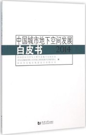 中国城市地下空间发展白皮书（2014）