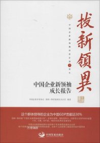 拔新领异 中国企业新领袖成长报告