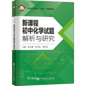 正版现货 新课程初中化学试题解析与研究