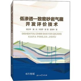 正版现货 低渗透-致密砂岩气藏开发评价技术