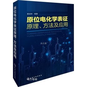 正版现货 原位电化学表征原理、方法及应用