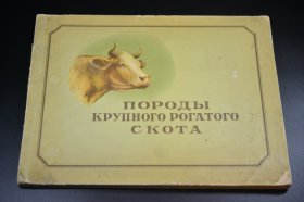 苏联种牛图谱 俄语原版 大16开130页图谱 1955年版印（保存完好 书脊老旧 见图）