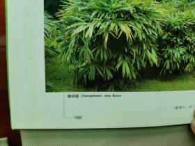 2013年 中国农业出版社《国家重点保护农业野生植物图鉴》大16开精装一厚册全！品相好，全书无笔迹、划痕和其他盖章。