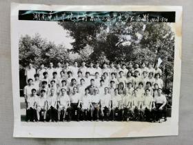 1982年7月9日《湖南中医学院中药系八二届学生毕业留影》照片一张！尺寸: 长21.8 厘米x宽 16.5厘米